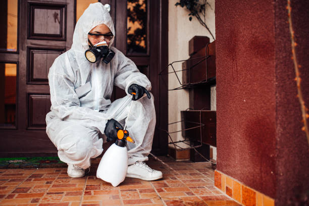Reliable Cockroach Control contractor in Carthage, NC by Nex Pest Control