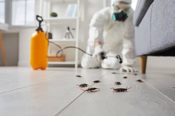 Trusted Cockroach Control service in Carthage, NC - Nex Pest Control