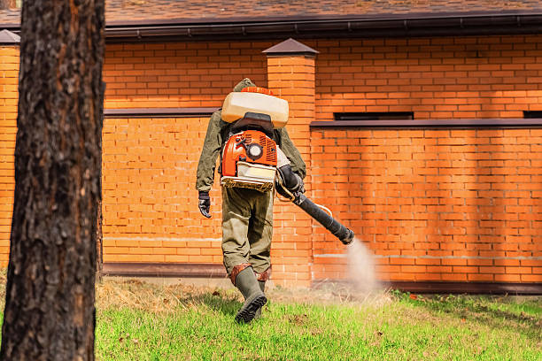 Trusted Termite Control service in Carthage, NC - Nex Pest Control